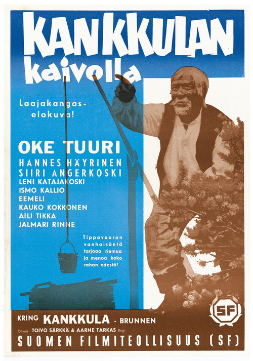 Póster de Kankkulan kaivolla