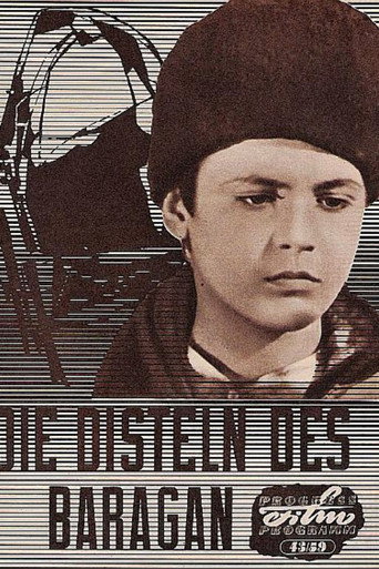 Póster de Ciulinii Bărăganului
