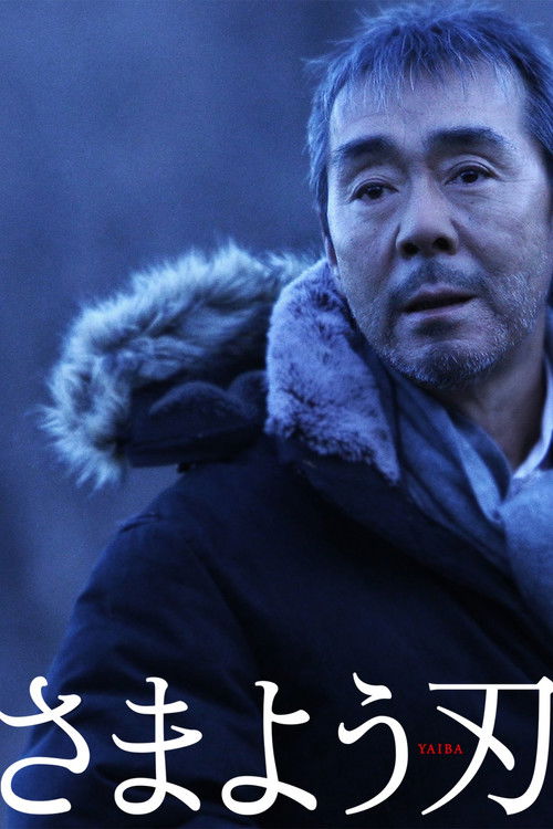 Póster de さまよう刃
