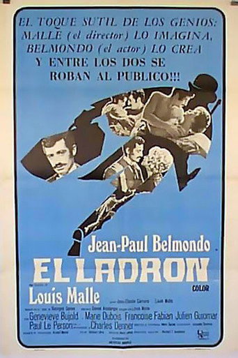 Póster de Le Voleur