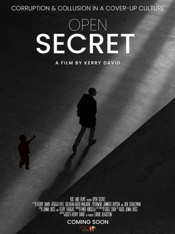 Póster de Open Secret