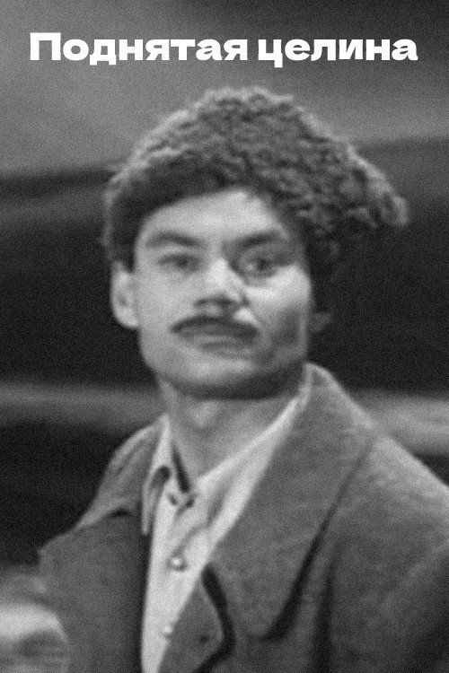 Póster de Поднятая целина