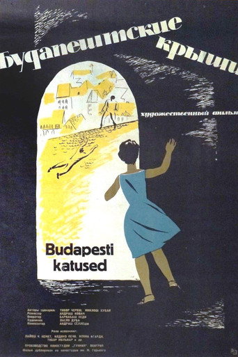 Póster de Pesti háztetők