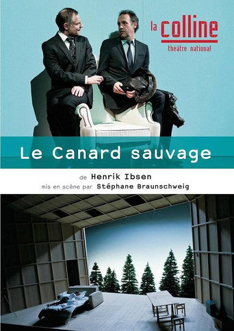 Póster de Le Canard sauvage