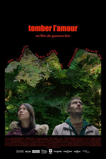 Póster de Tomber l'amour