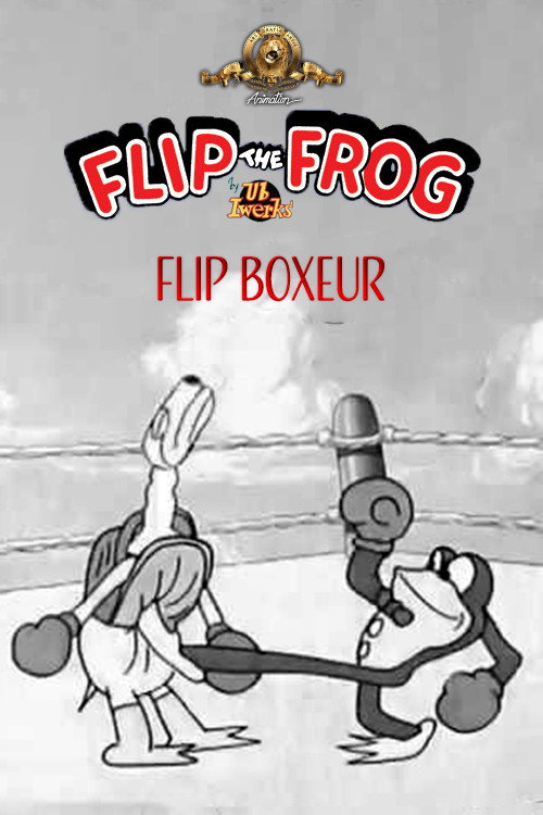 Póster de Flying Fists