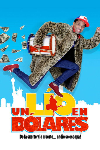 Póster de Un lío en dólares