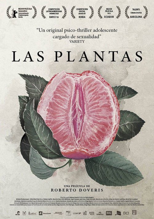 Póster de Las plantas