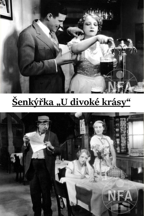 Póster de Šenkýřka „U divoké krásy“