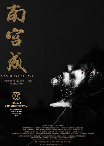 Póster de 南宫成