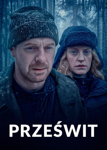 Póster de Prześwit