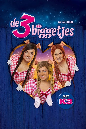 Póster de De 3 Biggetjes