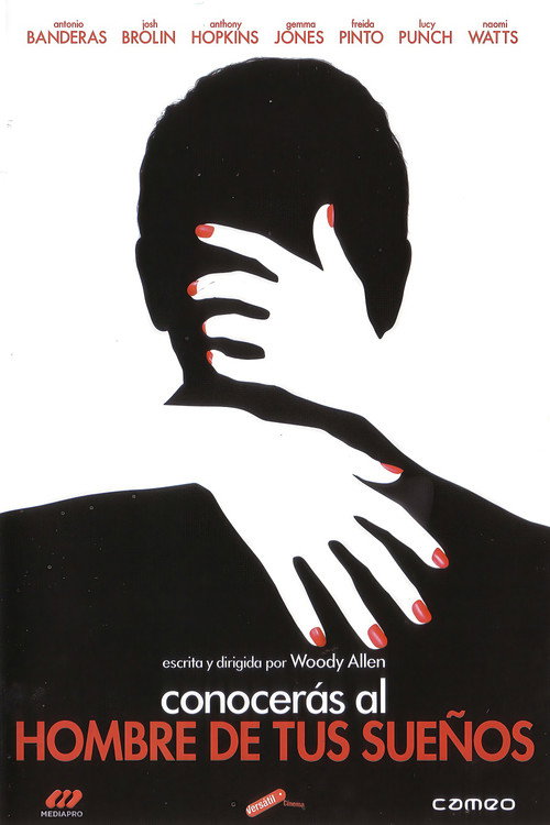 Póster de Conocerás al hombre de tus sueños