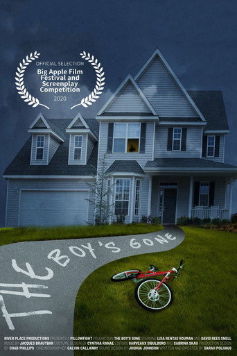 Póster de The Boy's Gone