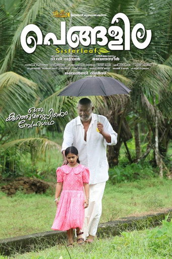Póster de പെങ്ങളില