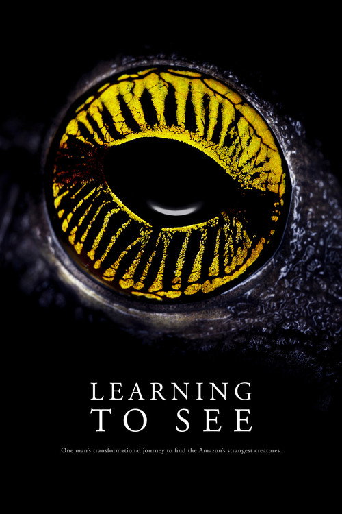 Póster de Learning To See