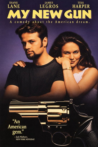Póster de My New Gun