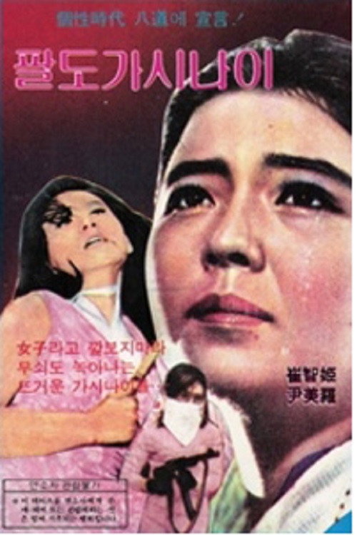 Póster de 팔도가시나이