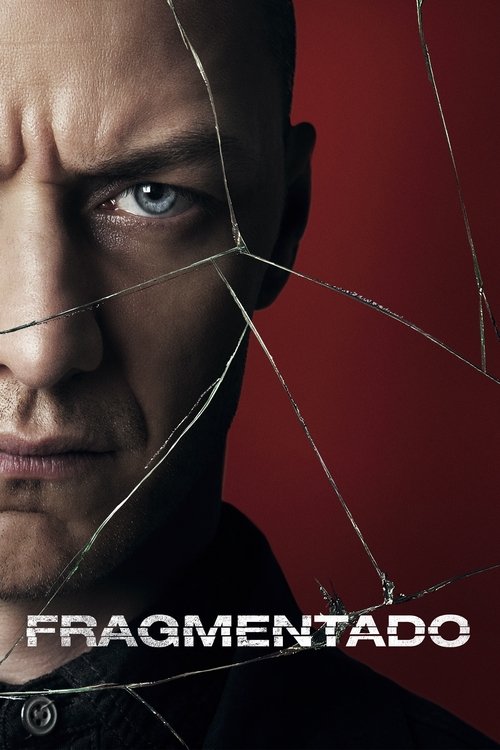 Póster de Fragmentado