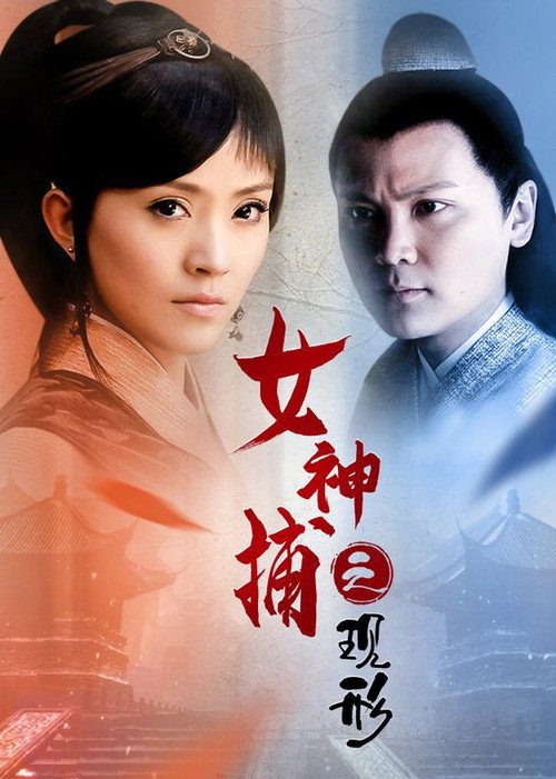 Póster de 女神捕之现形