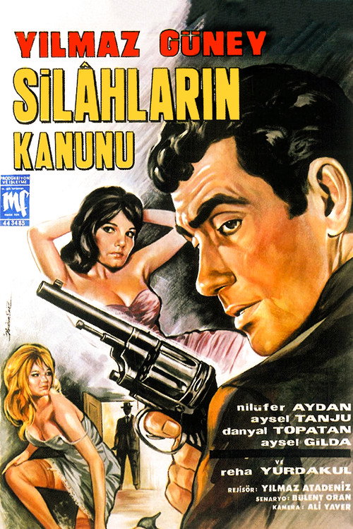 Póster de Silahların Kanunu