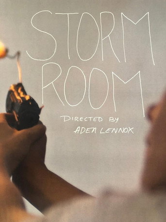 Póster de Storm Room
