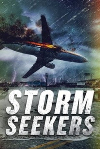 Póster de Storm Seekers