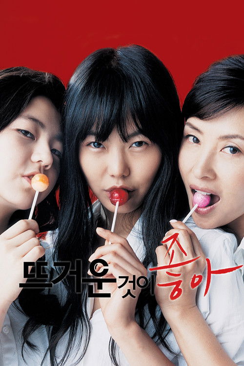 Póster de 뜨거운 것이 좋아