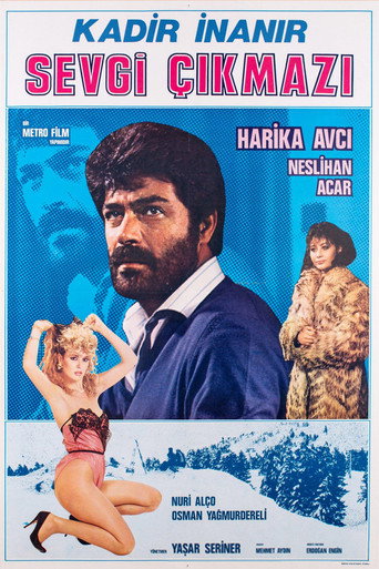 Póster de Sevgi Çıkmazı