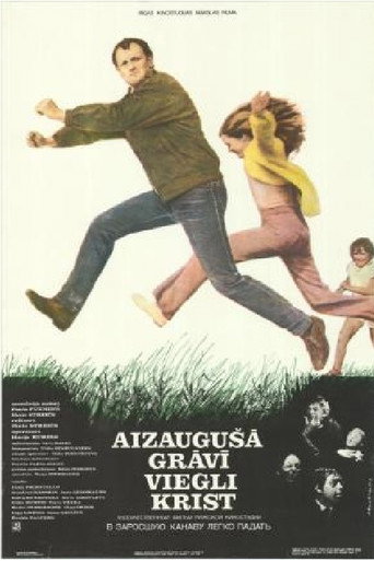 Póster de Aizaugušā grāvī viegli krist