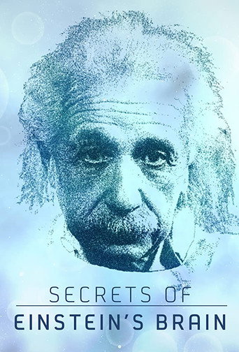 Póster de Secrets of Einstein's Brain