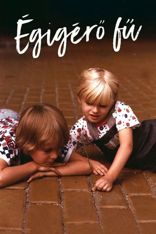 Póster de Égigérő fű