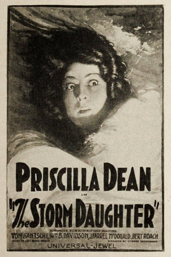Póster de The Storm Daughter