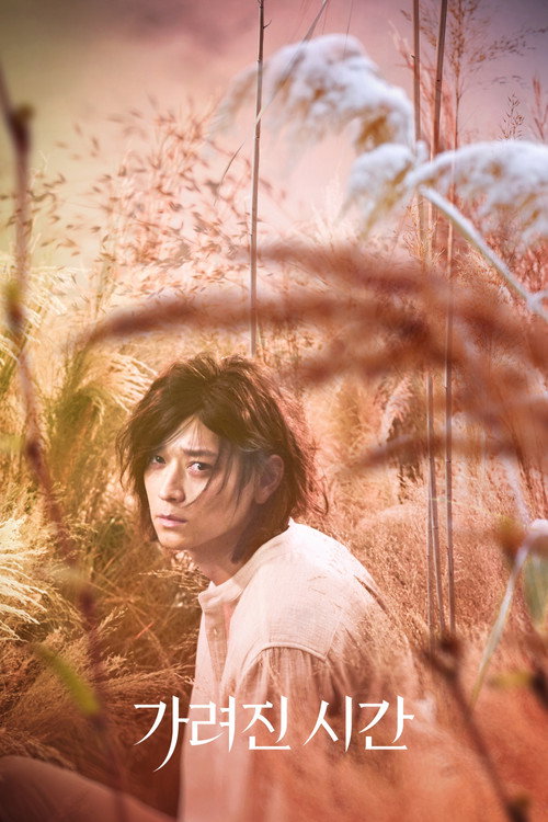 Póster de 가려진 시간