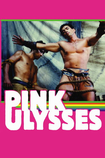 Póster de Pink Ulysses