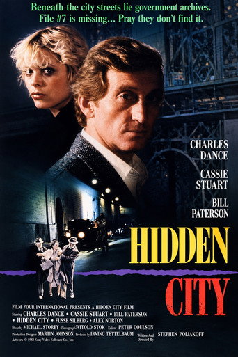 Póster de Hidden City
