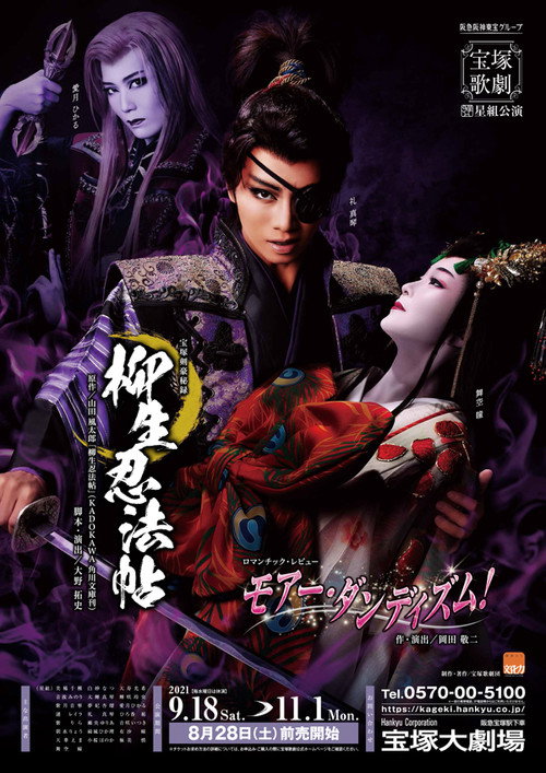 Póster de 柳生忍法帖
