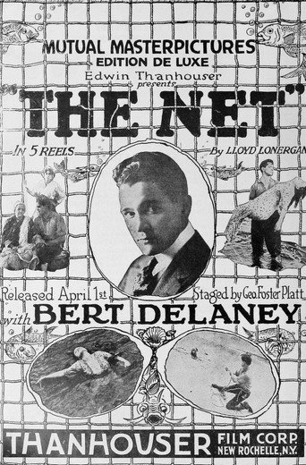Póster de The Net