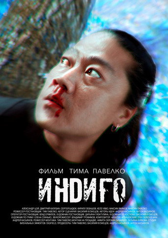 Póster de Индиго