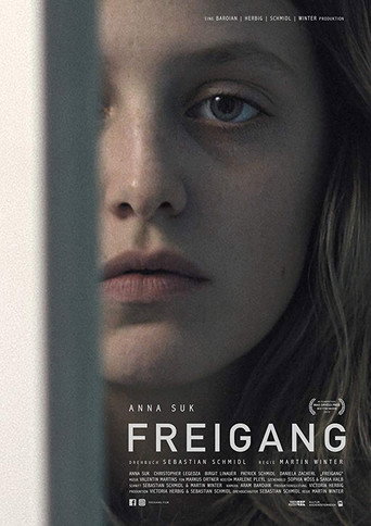 Póster de Freigang