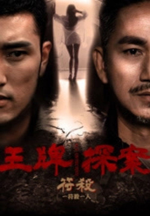 Póster de 王牌探案：符杀