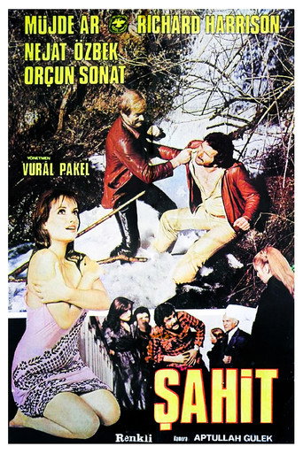 Póster de Şahit