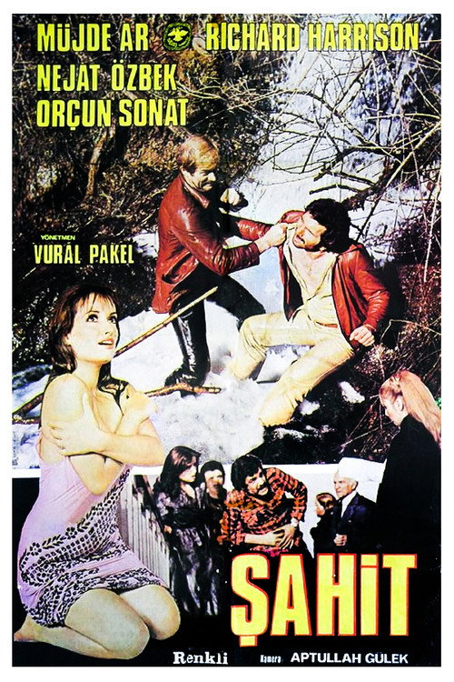 Póster de Şahit