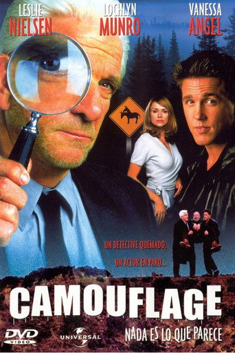 Póster de Camouflage