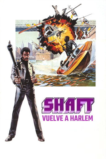 Póster de Shaft's Big Score!