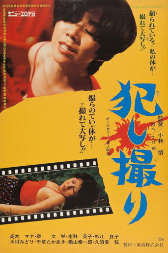 Póster de 犯し撮り