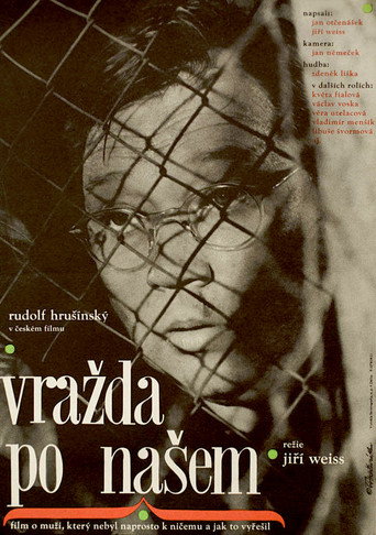 Póster de Vražda po našem