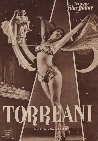Póster de Torreani