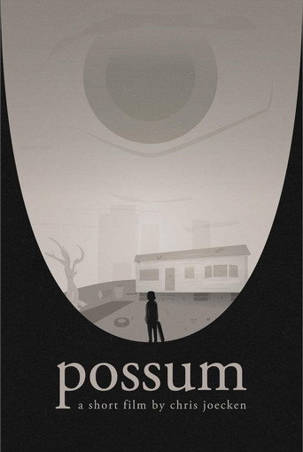 Póster de Possum