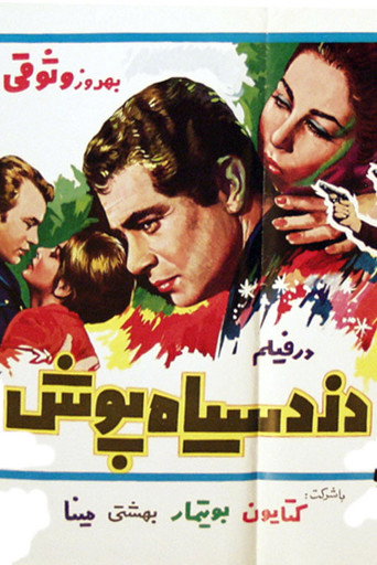Póster de دزد سیاه‌پوش